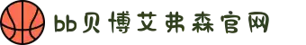 中国·BB贝博艾弗森(股份)有限公司-官方网站