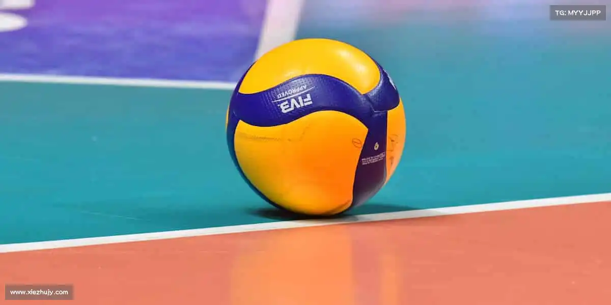 行业领先的理由